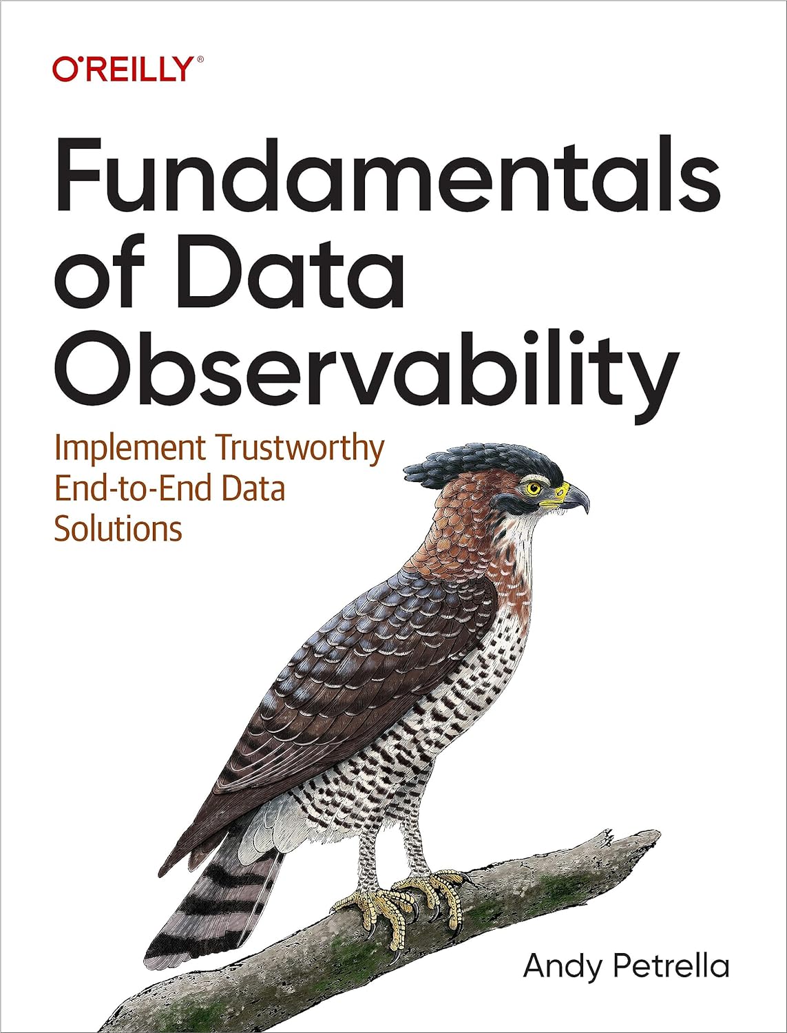 Andy Petrella: Fundamentals of Data Observability (2023, O'Reilly Media, Incorporated)