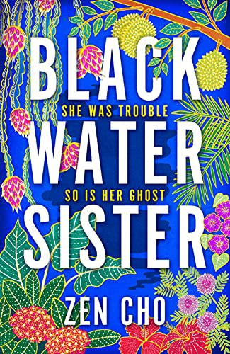 Zen Cho: Black Water Sister (Paperback, 2021, Macmillan)