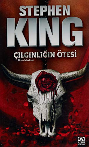 Stephen King: Cilginligin Otesi (Paperback, Altin Kitaplar)