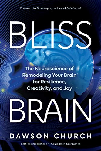 Dawson Church, Dave Asprey: Bliss Brain (Hardcover, 2020, Hay House Inc.)