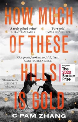 C Pam Zhang: How Much of These Hills Is Gold (2020, Little, Brown Book Group Limited)