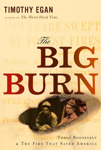 Timothy Egan: The big burn (Hardcover, 2009, Houghton Mifflin Harcourt)