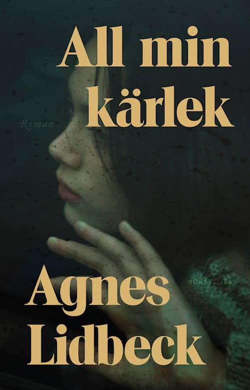 Agnes Lidbeck: All min kärlek (Hardcover, Svenska language, Norstedts)