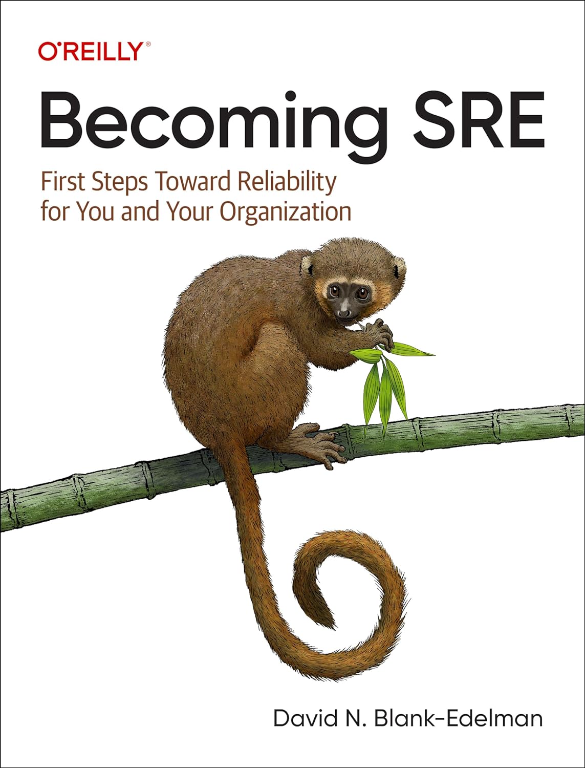 David N. Blank-Edelman: Becoming SRE (2024, O'Reilly Media, Incorporated)