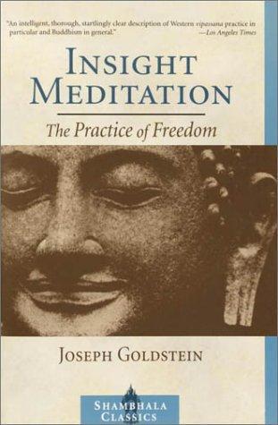 Joseph Goldstein, Sharon Salzberg: Insight Meditation (2003)