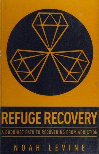 Noah Levine: Refuge recovery (2014)