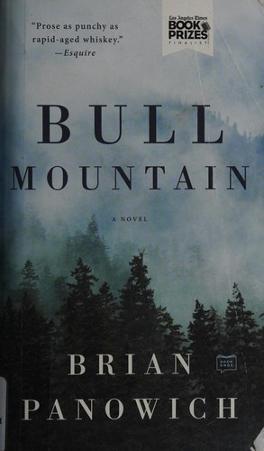 Brian Panowich: Bull Mountain (2015)