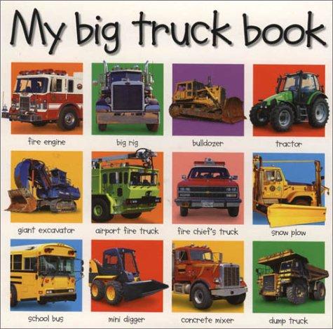 Roger Priddy: My Big Truck Book (Priddy Bicknell Big Ideas for Little People) (2002, Priddy Books)