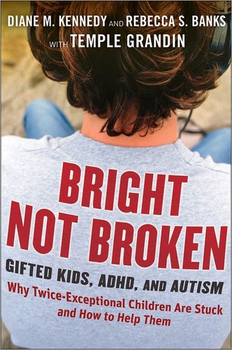 Diane M. Kennedy: Bright not broken (2011, Jossey-Bass)